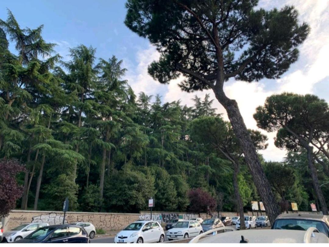 Roma San Pietro 아파트 외부 사진